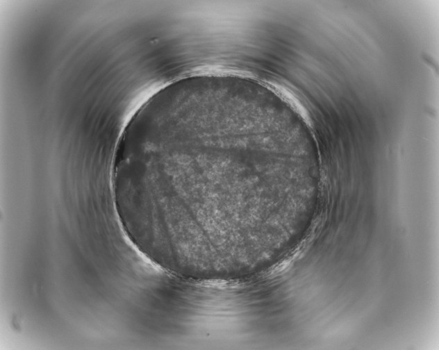 X0000094960855200712201159