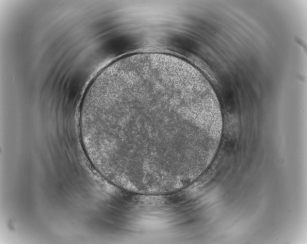 X0000094960856200712201159