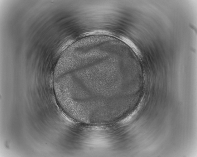 X0000094960857200712201159