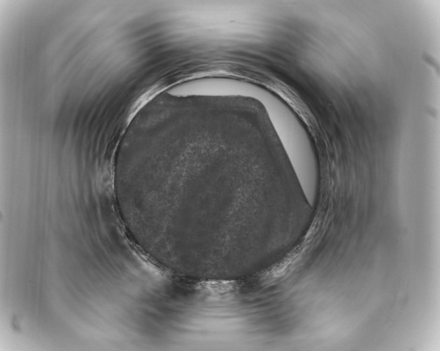 X0000094960858200712201159