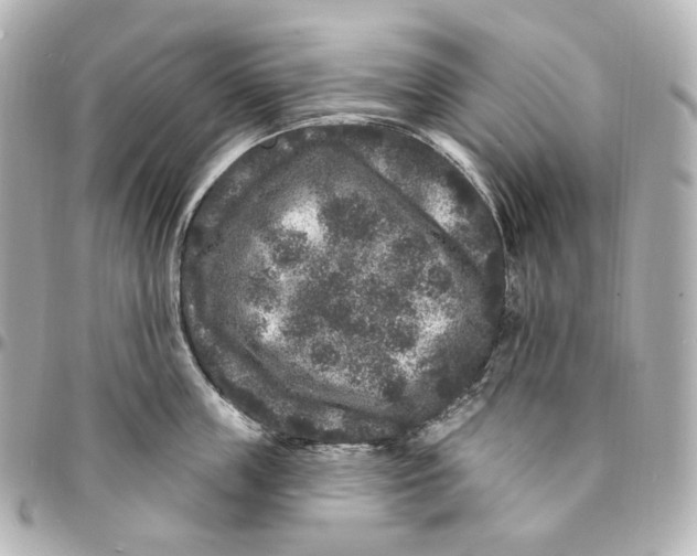 X0000094960859200712201159