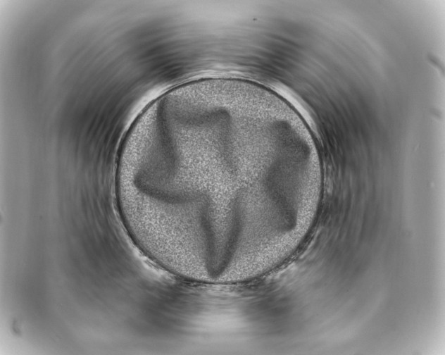 X0000094960861200712201159