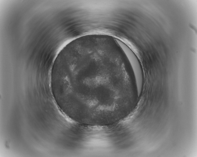 X0000094960862200712201159