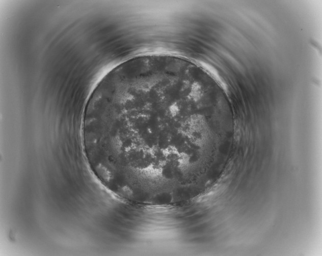 X0000094960863200712201159