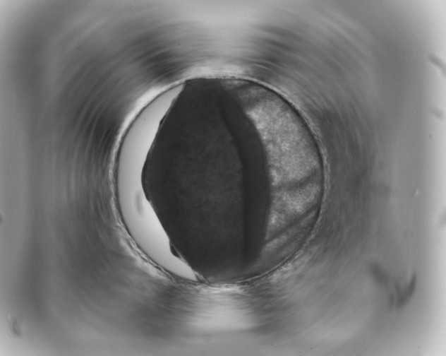 X0000094960864200712201159