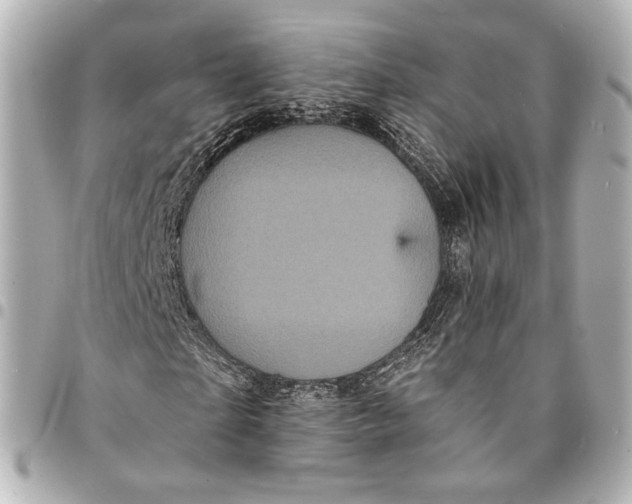 X0000094960865200712201158