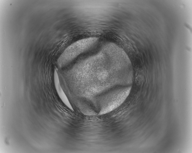 X0000094960866200712201158