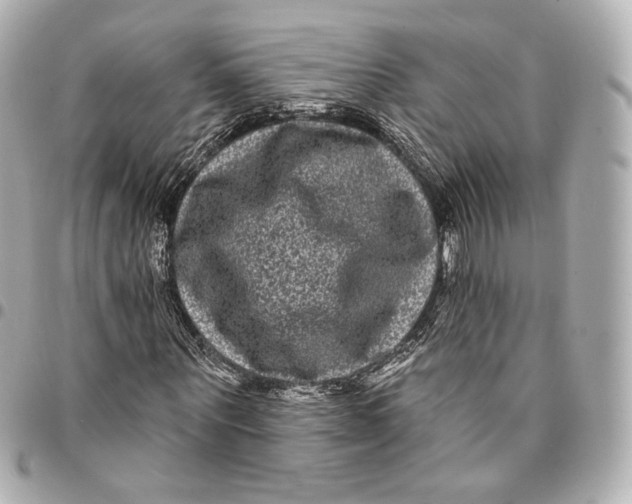 X0000094960867200712201158