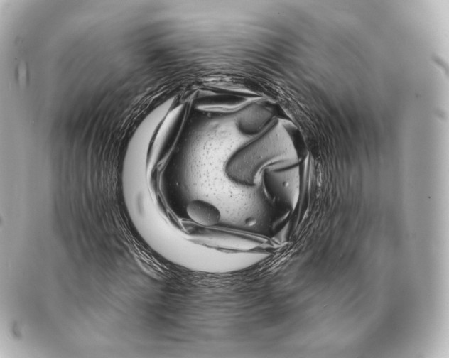 X0000094960868200712201158