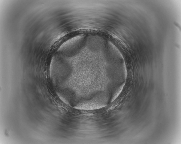 X0000094960870200712201158