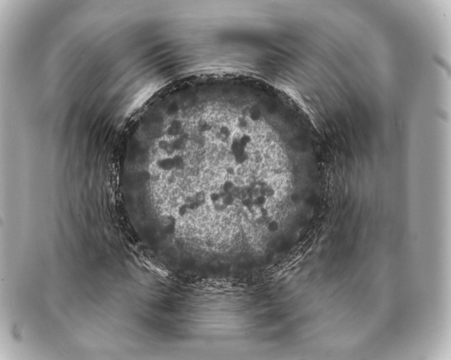 X0000094960871200712201158