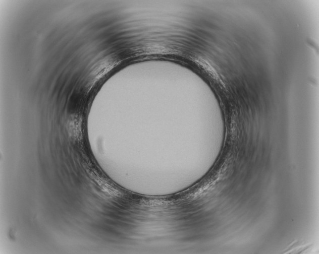 X0000094960873200712201158