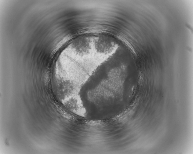 X0000094960874200712201158