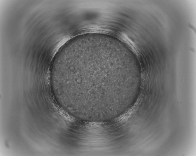 X0000094960875200712201158