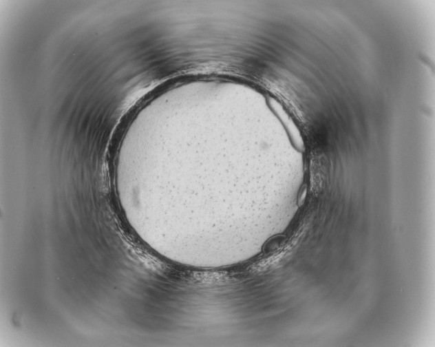 X0000094960876200712201158