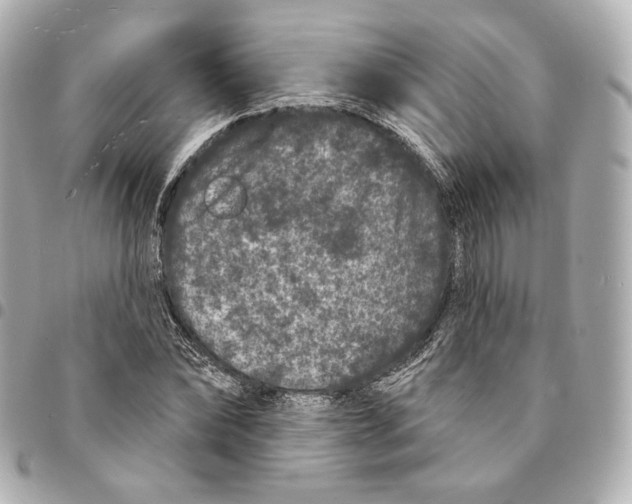 X0000094960878200712201158