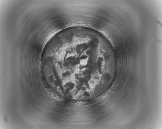 X0000094960879200712201158