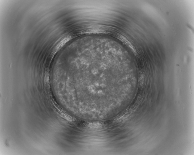 X0000094960882200712201158