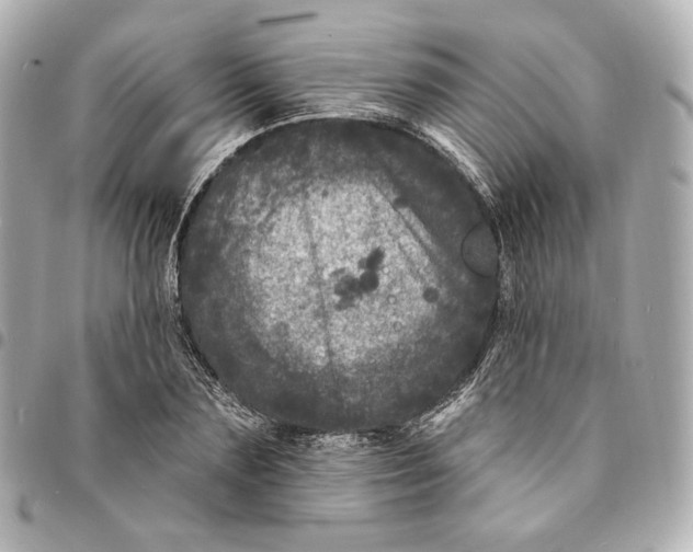 X0000094960883200712201158