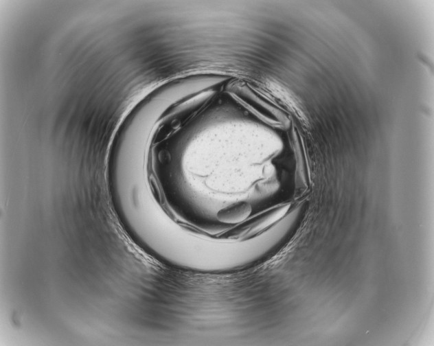 X0000094960884200712201158