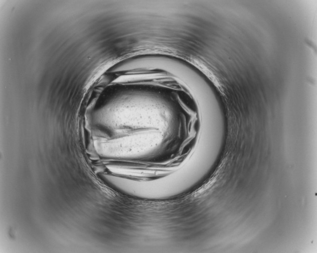 X0000094960885200712201158