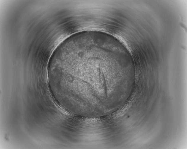 X0000094960887200712201158