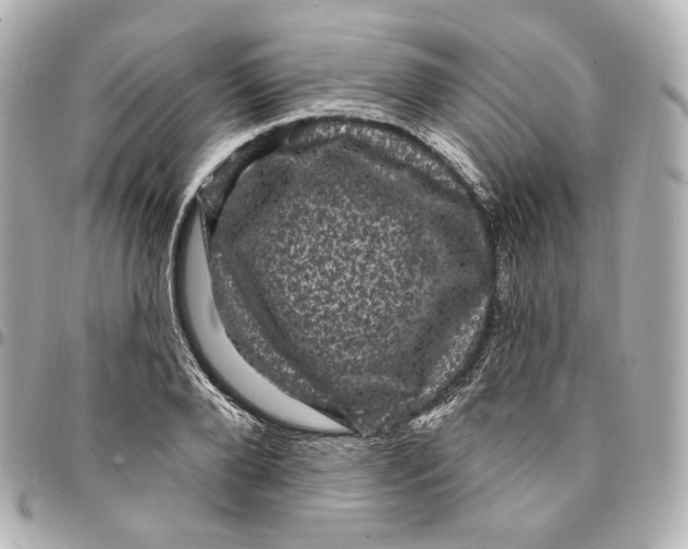 X0000094960888200712201158