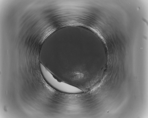 X0000094960889200712201158