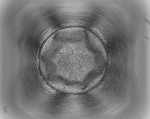 X0000094960890200712201158