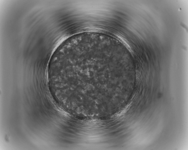 X0000094960891200712201158