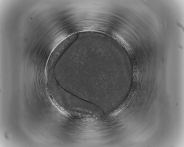 X0000094960892200712201158