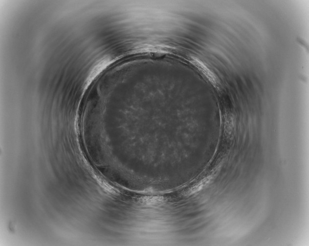 X0000094960893200712201158