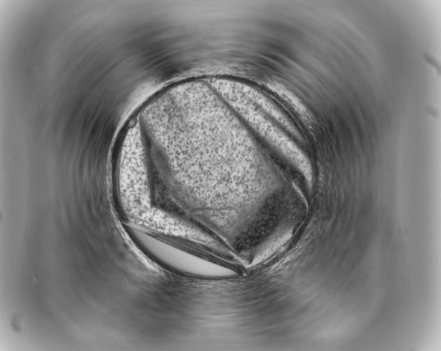 X0000094960894200712201158