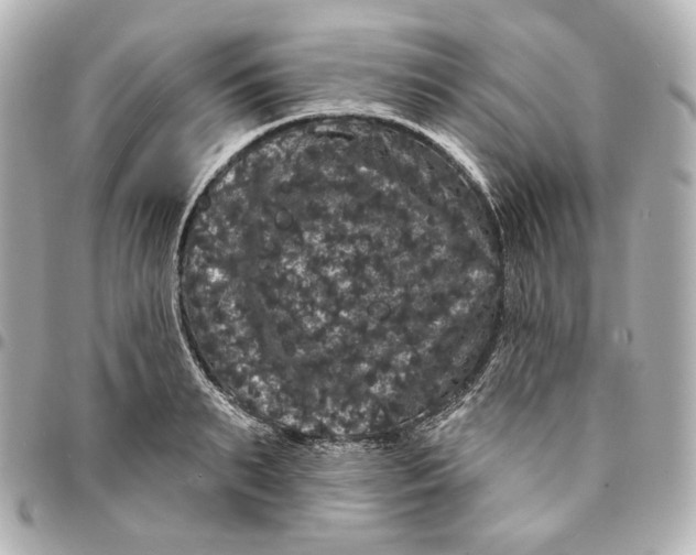 X0000094960895200712201158