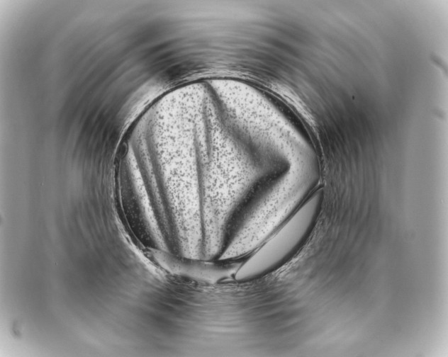 X0000094960898200712201158