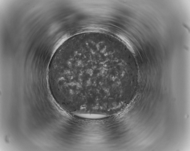 X0000094960899200712201158