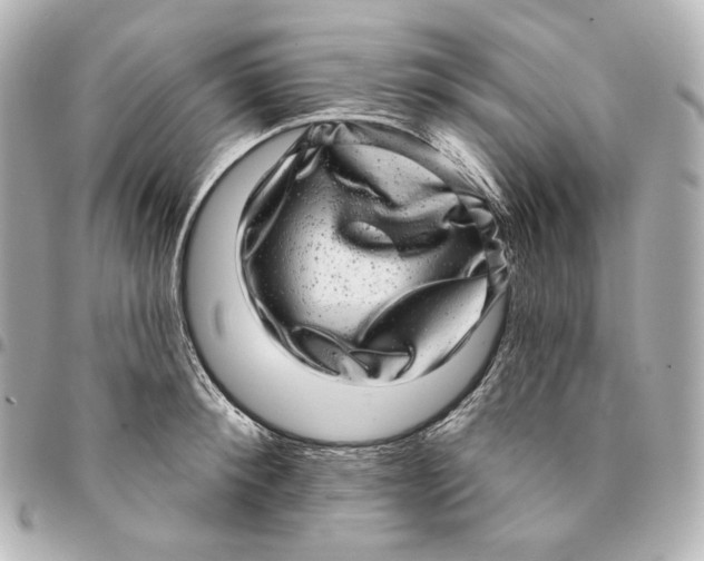 X0000094960900200712201158