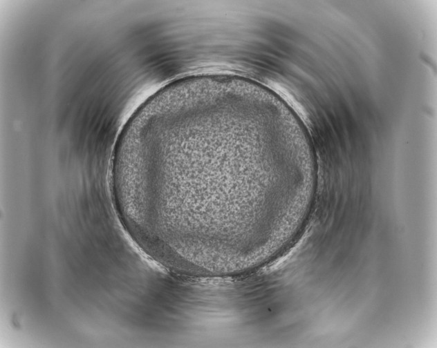 X0000094960901200712201158