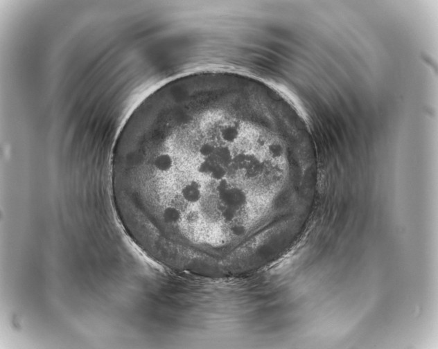 X0000094960903200712201158