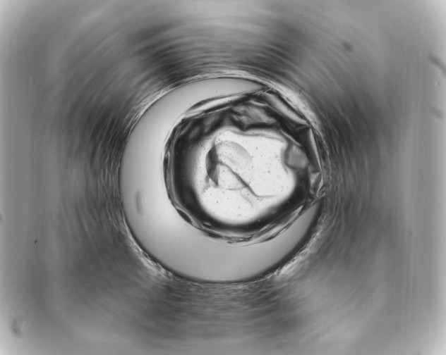 X0000094960905200712201158