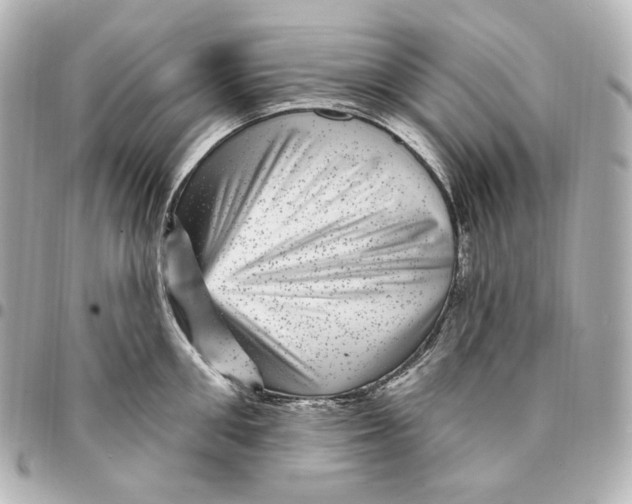 X0000094960906200712201158