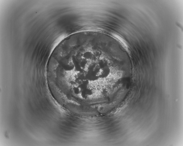 X0000094960907200712201158