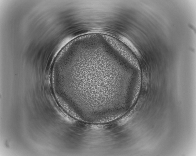 X0000094960908200712201158