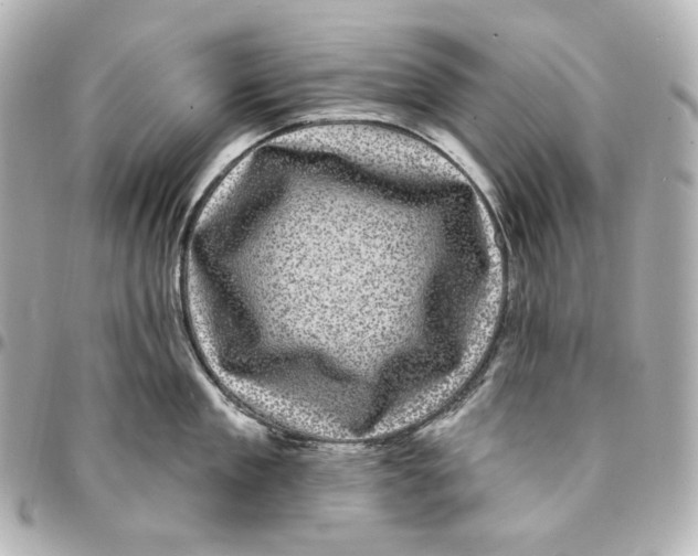 X0000094960909200712201158