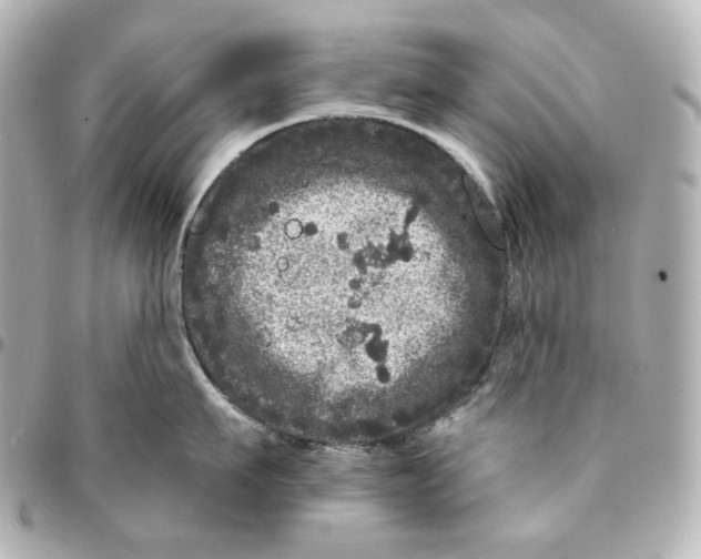 X0000094960911200712201157