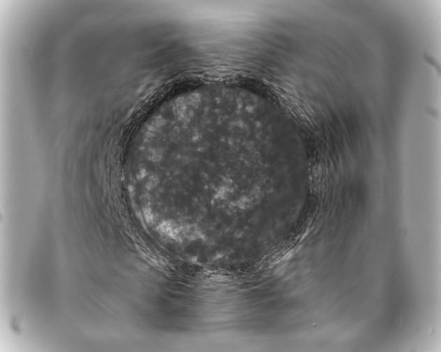 X0000094960913200712201157