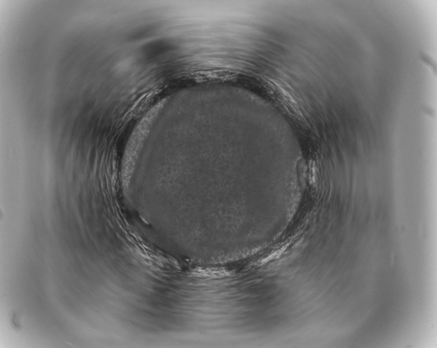 X0000094960915200712201157