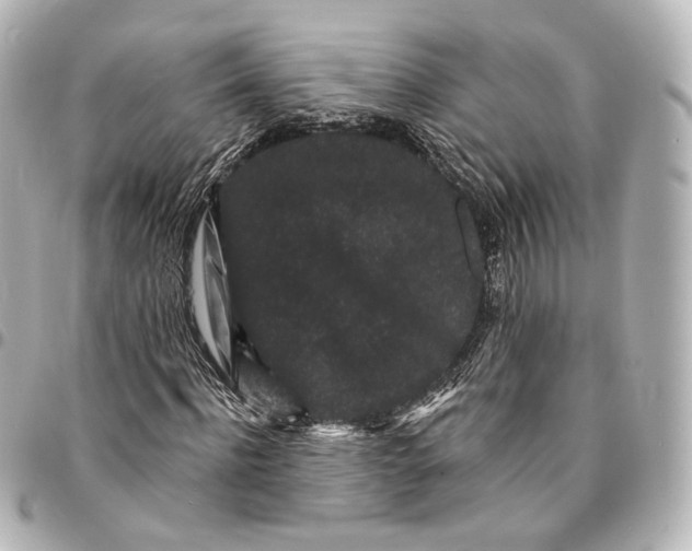 X0000094960916200712201157