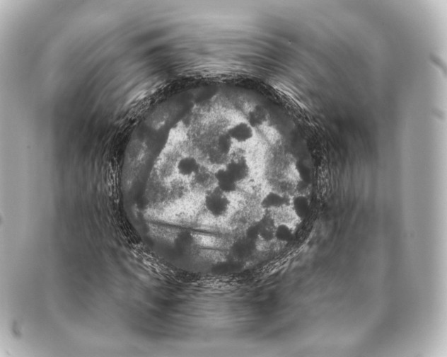 X0000094960917200712201157