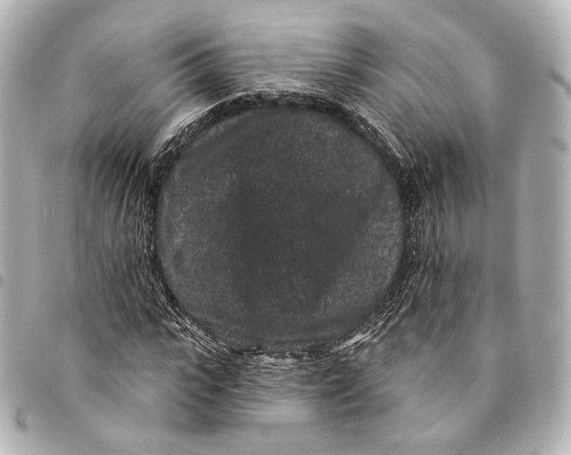 X0000094960919200712201157